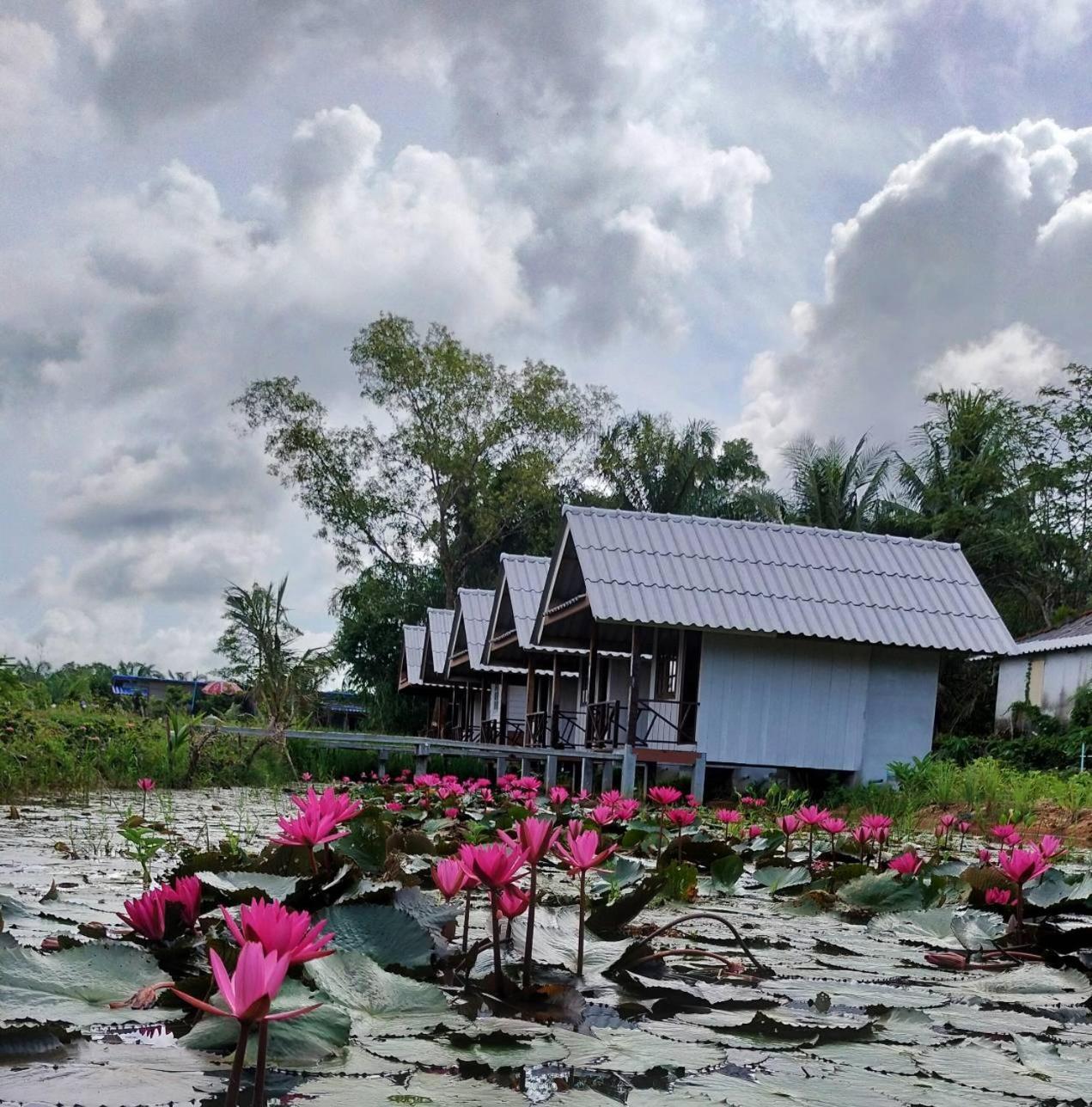 ปารมีฟาร์มสเตย์ Takuapa Buitenkant foto