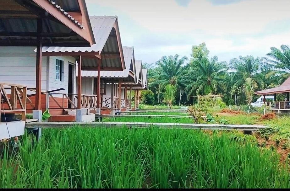 ปารมีฟาร์มสเตย์ Takuapa Buitenkant foto
