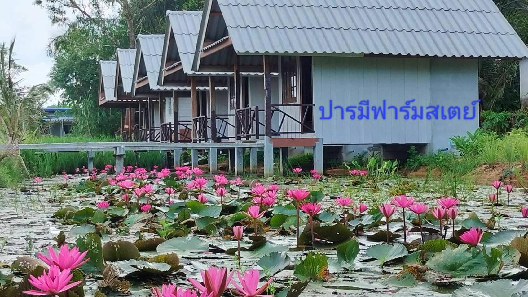 ปารมีฟาร์มสเตย์ Takuapa Buitenkant foto